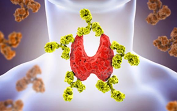 Autoimmune Disease ( The Enemy Within)-Prevention/Maintenance/Reversal by Fx Vitality and Functional Medicine