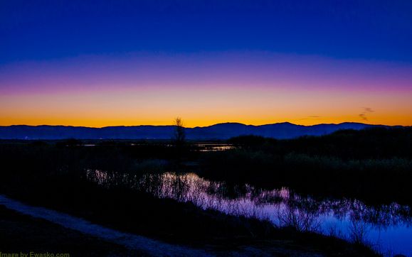 Professional Location Photography by E Studio Ewasko.com