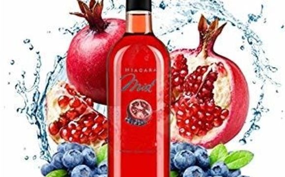 Brew on premise wine and beer kits by Absolutely Grape U-Brew