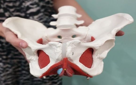 Pelvic Health Physiotherapy by Holistic Physiotherapy & Wellness