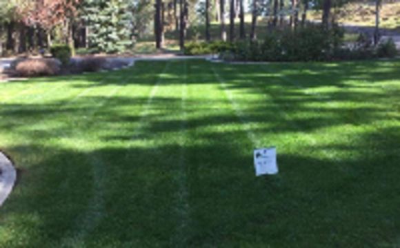 Lawn Fertilization and Weed Control by Pacific Lawn Maintenance