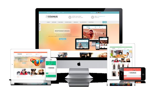 San Ramon Website Design by Sina Advisory Group