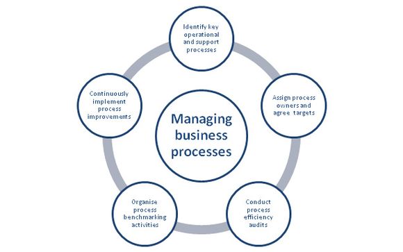 Business Process Audits by PEAK UNLIMITED LLC