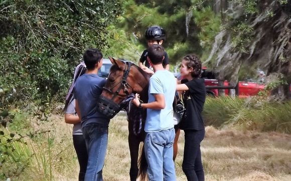 Therapeutic Riding by TiAnViCa Riding Academy