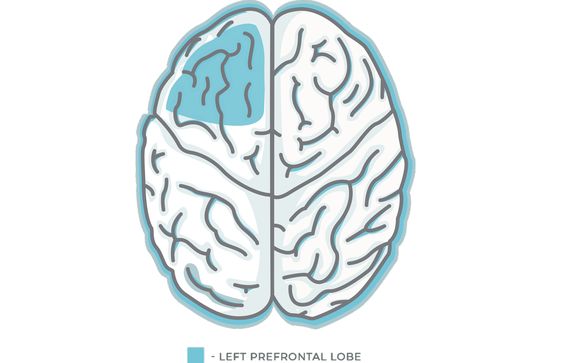 Transcranial Magnetic Stimulation (TMS) by Dura Medical, LLC