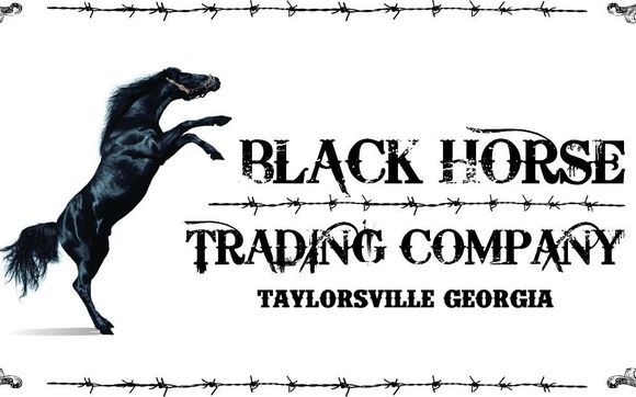 Farm Feed and Supply Store by Black Horse Trading Company