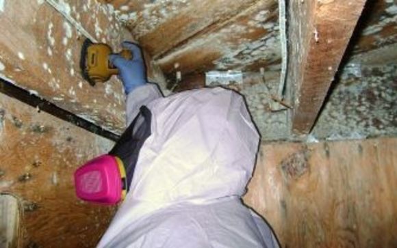 Mold Remediation by Mastertech Environmental North Jersey