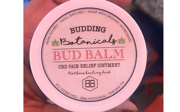 Our famous Salve by Budding Botanicals