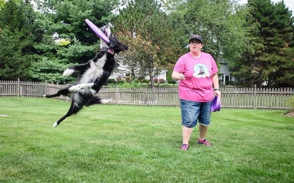 Trick Dog Training  by Cloud K9 Academy