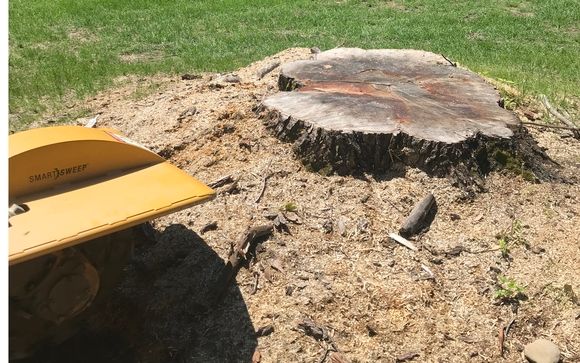 Stump Grinding by 1,2 Tree Services, LLC