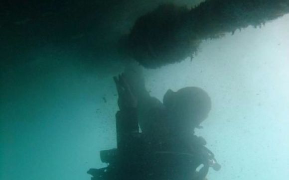 Yacht Services / Hull Cleaning Service by Professional Diving Service