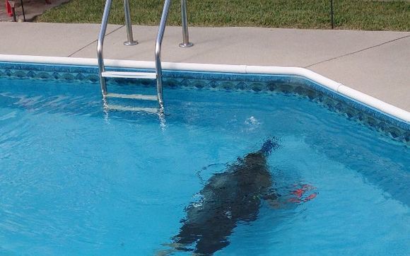 swimming pool leak detection and repair