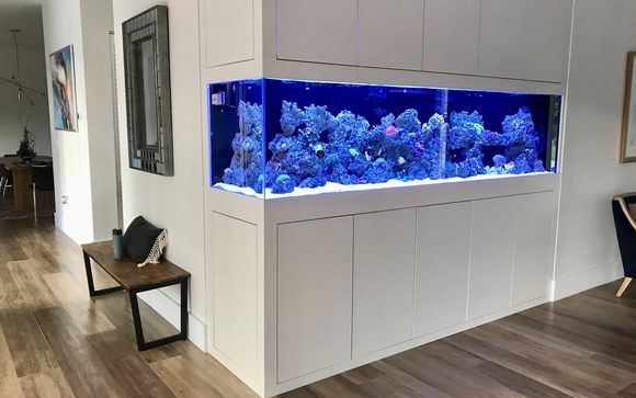 Aquariums Fabrication, Set Up, Maintenance, Management and Leases by Aquarium Marketing