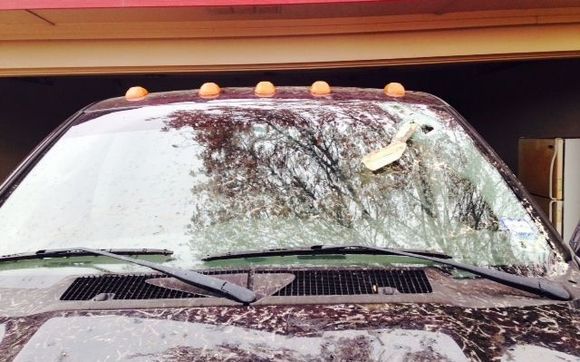 Pilkington  Glass. PPG Glass, Carlite Glass , OEM Glass by Auto Glass by Jerry