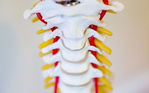 Chiropractic by Living Well Family Chiropractic