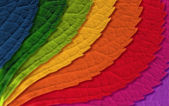 Leaf Colours by Billy Frank Alexander Design