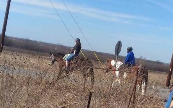 Holiday Gift Certs., & Open Trail Horseback riding by Chisholm Trail ...