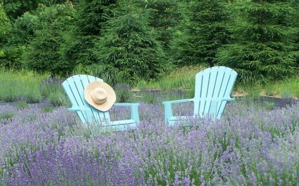 Residential Real Estate Services by Jeff Meese Realtor + Architect