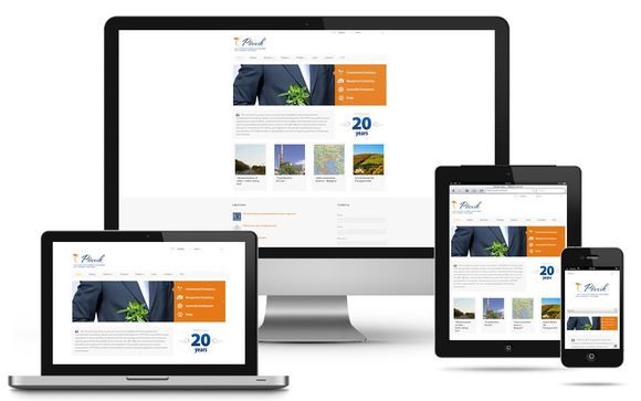 Mobile Website Design by JLWebvisions, LLC - Germantown, Wisconsin Web Design and Internet Marketing Services