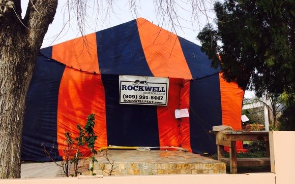 Fumigation by Rockwell Pest Solutions