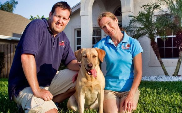 Board & Train, Dog Training by The DogSmith Palm Beach