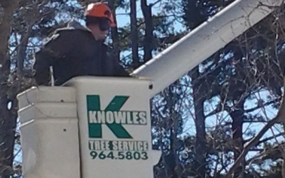 Tree Service by Knowles Tree Service, Inc.