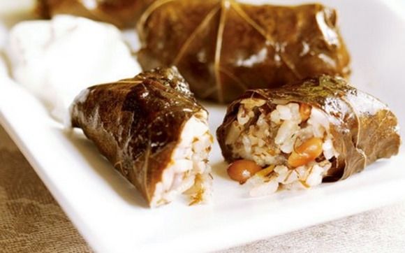 Stuffed Grape Leaves with Tzatziki Sauce by Coffee Bianco