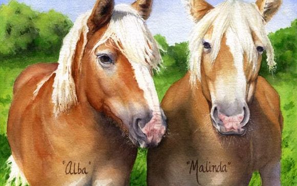 Animal Portraits in Watercolor by Lisa Baechtle, Artist in Hector Area ...