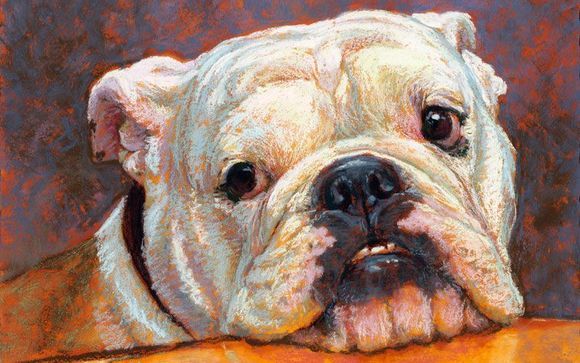 Pet portraits by Rita Kirkman, Artist
