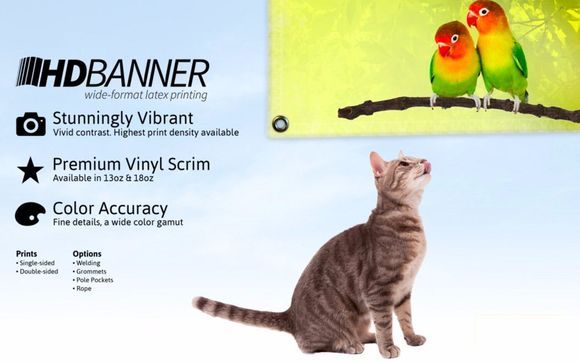 Full Color Banners by Zoo Graphix Online