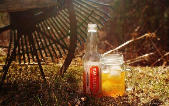 Vermont Switchel by The Vermont Switchel Company