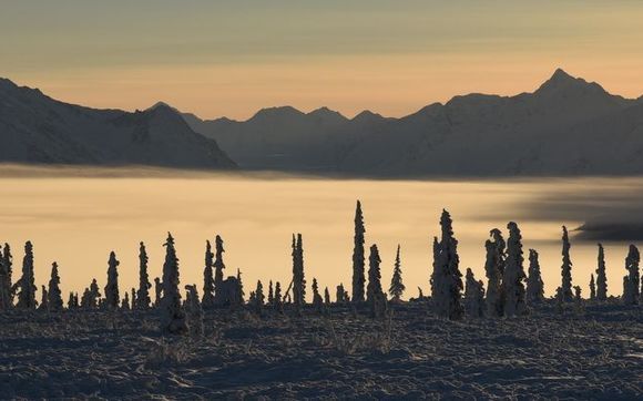 Freelance Photography by Hatcher Photography