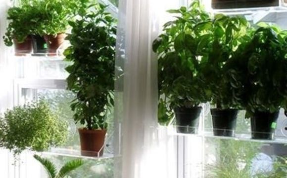Living Ledge Vertical Garden Container by Living Ledge - Vertical ...