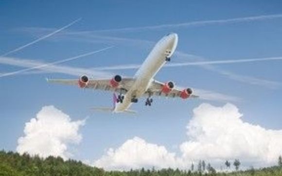 Airport Services - Pet Travel- Air Shipping by The Waggin Trail Express