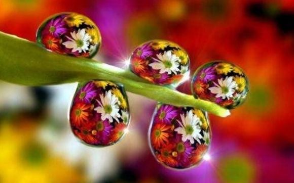 Stress Burner Yoga for 2017 by Stress Burner Yoga