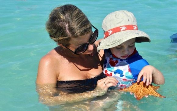 Family Vacations by Beth Drummonds-Drummonds Travel Service/Independent Travel Advisor with Lawler Classic Travel 