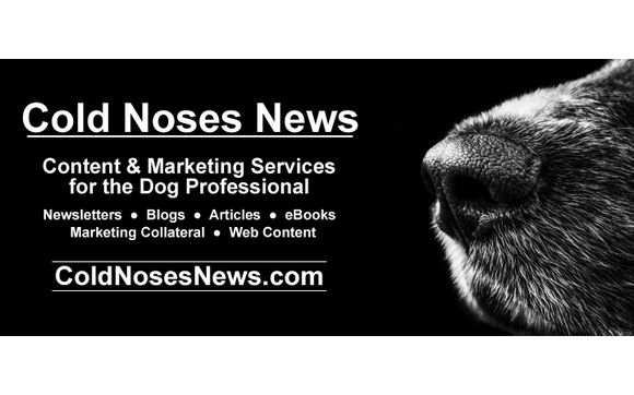 Customized Content for the Dog Professional by Cold Noses News: The Dog Newsletter that Works as Hard as You Do!