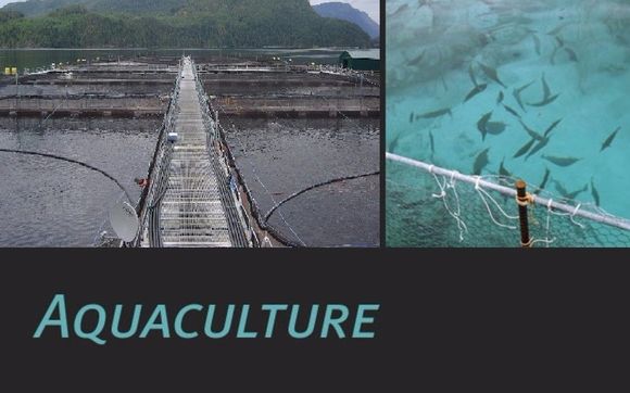 Aquaculture Technician Diploma Program by Excel Career College