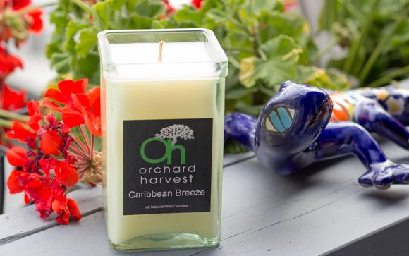 Recycled Glass Square Candle 12 oz by Orchard Harvest Candles