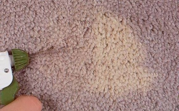 Bleach Spot Repair Carpet Dyeing By