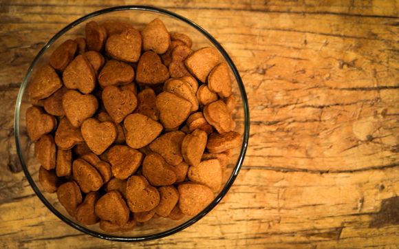 dog treat of the month club