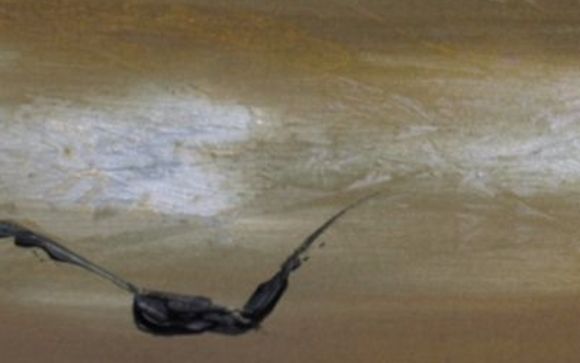 I provide original fine art and novelties. by Art by Rob Fowler