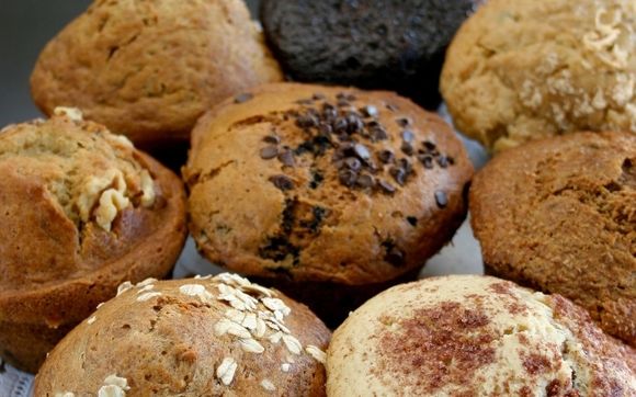 Breakfast Muffins (Regular) by Essential Chocolate Desserts