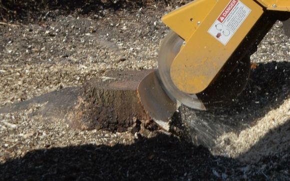 Stump Removals by Ottawa Stump Removal Inc