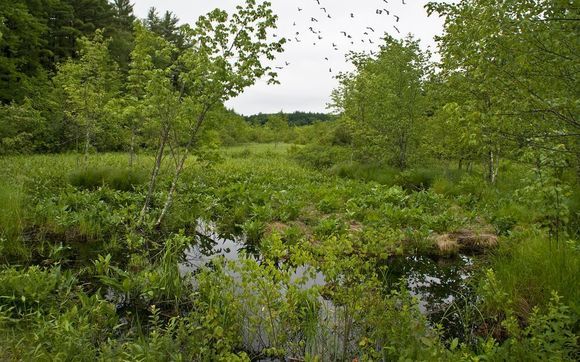 Environmental and Wetlands Permitting by JDE Civil, Inc.