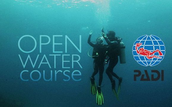3 Day Scuba Diving Lesson PADI Open Water Diver Certification Fort
