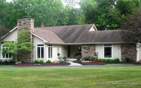 Roof Cleaner - Michigan Pressure Washing Professionals - Alignable