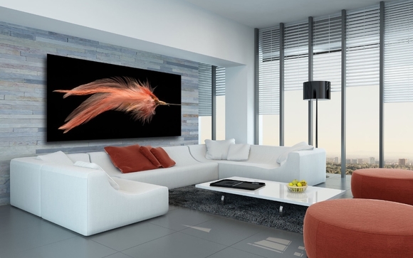 STREAMER VLURE A IN LIVING ROOM by George Diebold Photographs