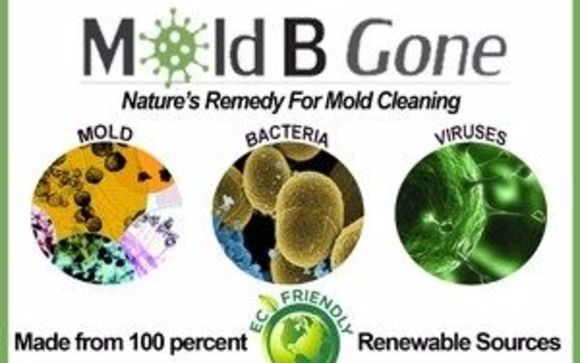 Mold-B-Gone by CitriFresh Distribution