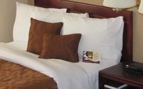 Room Types: by Chateau Regina Hotel and Suites
